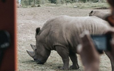 Mooiste dierentuinen van Nederland