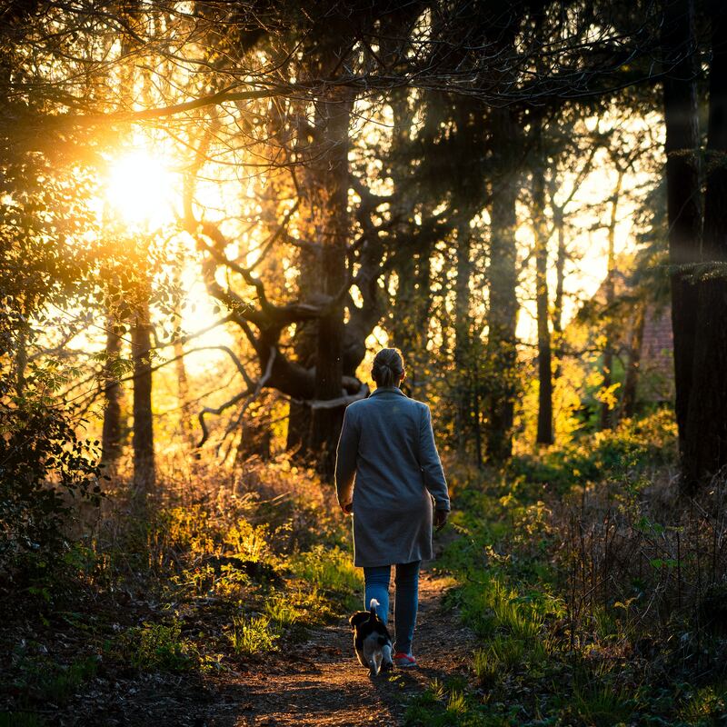 Vrouw loopt met zonsopgang door bos