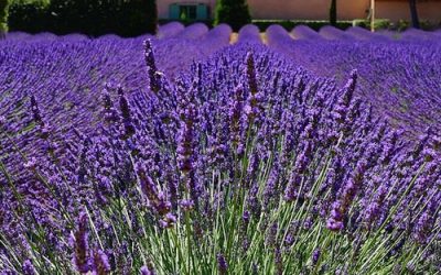 Drie populaire vakantielanden in Europa